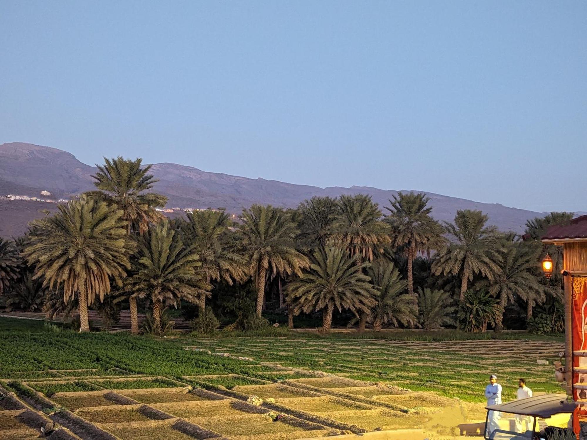 بيت نُزل السلام Bait Salam Inn Al Ḩamrāʼ エクステリア 写真